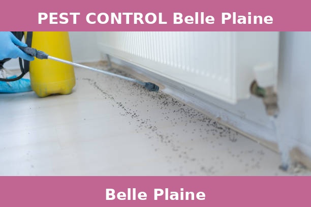 PEST CONTROL Belle Plaine